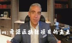 Tokenim：开源区块链项目的