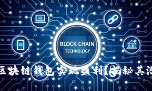 如何通过静态区块链钱包实现盈利？揭秘其潜在收益与策略