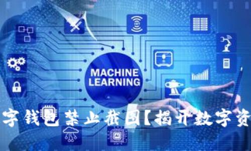 为什么你的数字钱包禁止截图？揭开数字资产安全的秘密