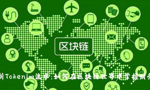 深入解析Tokenim流水：如何在区块链世界中掌握财务透明度