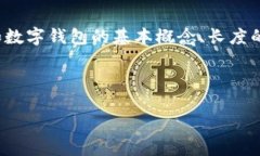在处理“数字钱包长度不