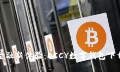 便捷金融新体验：DCCY数字