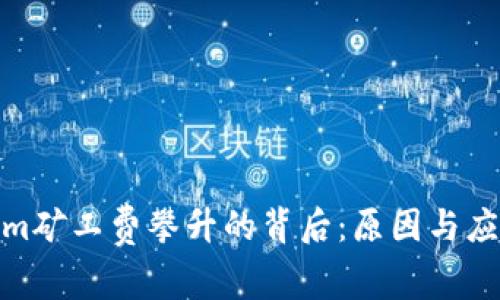 Tokenim矿工费攀升的背后：原因与应对策略