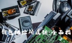 探索Tokenim钱包地址所属链