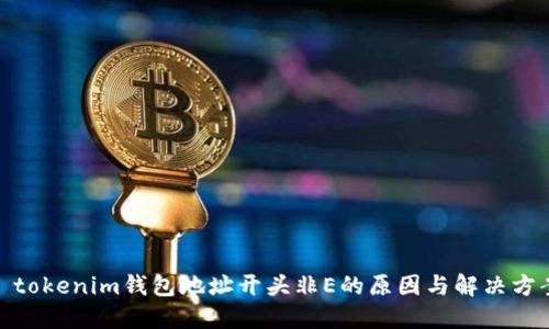 : tokenim钱包地址开头非E的原因与解决方案