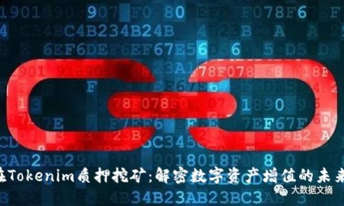 DPL在Tokenim质押挖矿：解密数字资产增值的未来之路