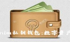 深入了解Tokenim私钥钱包：