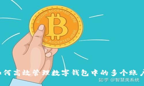 如何高效管理数字钱包中的多个账户？
