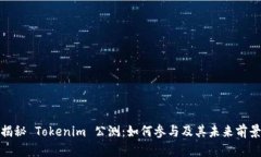 揭秘 Tokenim 公测：如何参