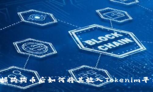 挖掘狗狗币后如何将其放入Tokenim平台？