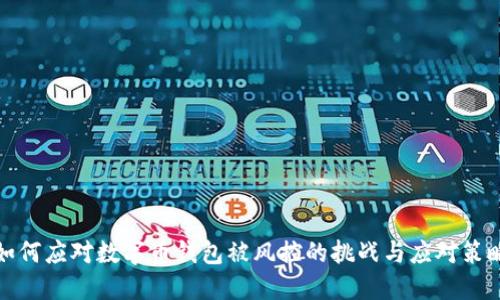 如何应对数字币钱包被风控的挑战与应对策略