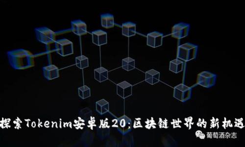 探索Tokenim安卓版20：区块链世界的新机遇