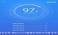 安全无忧：揭秘Ballet数字