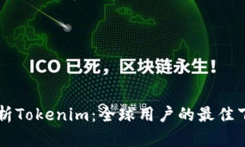 全面解析Tokenim：全球用户的最佳下载平台