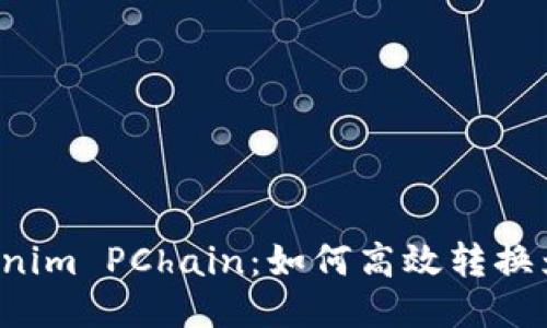 “Tokenim PChain：如何高效转换为PI？”