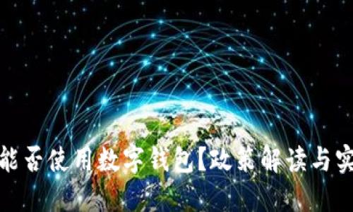 失信人能否使用数字钱包？政策解读与实践探讨