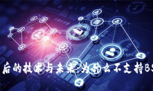 探索Tokenim背后的技术与未来：为什么不支持BSV的深层次原因