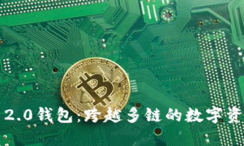 ciaotiTokenim 2.0钱包：跨越多链的数字资产管理解决方案