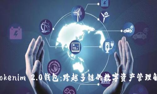 ciaotiTokenim 2.0钱包：跨越多链的数字资产管理解决方案