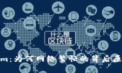 Tokenim：为何网络繁忙的背