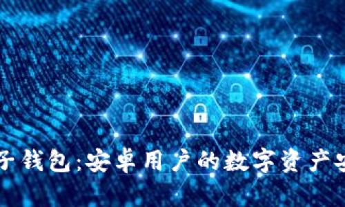 区块链电子钱包：安卓用户的数字资产安全守护者
