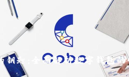 未来支付的钥匙：全面解析数字钱包的崛起与应用