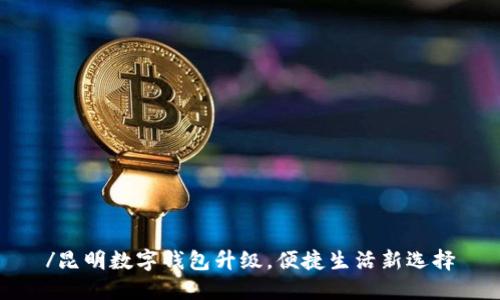 /昆明数字钱包升级，便捷生活新选择
