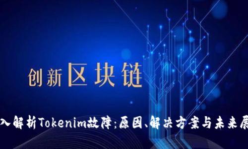 深入解析Tokenim故障：原因、解决方案与未来展望