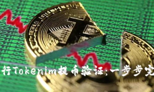 如何进行Tokenim提币验证：一步步完整指南