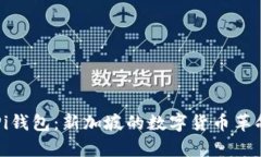 区块链中的Pi钱包：新加坡