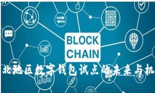 东北地区数字钱包试点的未来与机遇