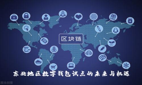 东北地区数字钱包试点的未来与机遇