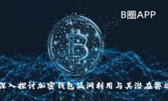 深入探讨加密钱包漏洞利用与其潜在弊端