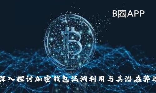 深入探讨加密钱包漏洞利用与其潜在弊端
