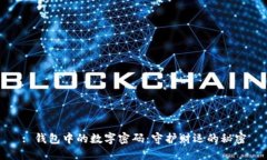 : 钱包中的数字密码：守护财运的秘密