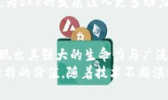   探索Tokenim的SKR：引领区
