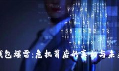 数字钱包爆雷：危机背后