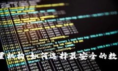 数字钱包设置机构：如何选择最安全的数字钱包