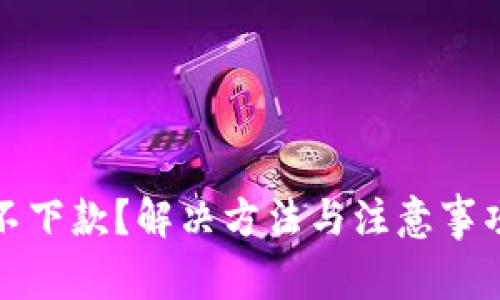 数字钱包不下款？解决方法与注意事项全面解析