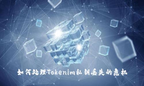 如何处理Tokenim私钥丢失的危机