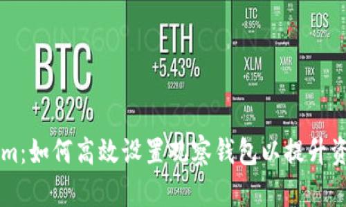 新版Tokenim：如何高效设置观察钱包以提升资产管理能力
