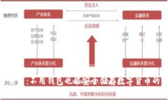 探索未来：不用钱包也能