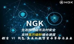 探索 VI 钱包：真正的数字货币革命与未来