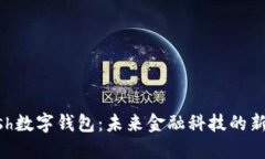 kCash数字钱包：未来金融科