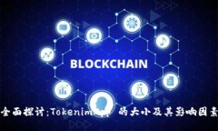全面探讨：TokenimApp 的大小