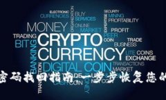 数字钱包密码找回指南：