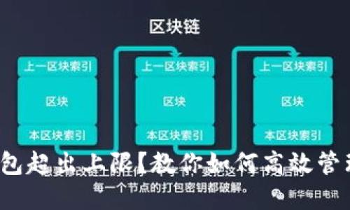 数字钱包超出上限？教你如何高效管理资金！