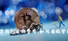 : 深度解析：数字钱包逾期