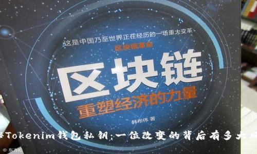 揭秘Tokenim钱包私钥：一位改变的背后有多大风险？