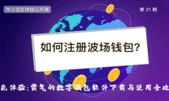 抢先体验：霸气的数字钱